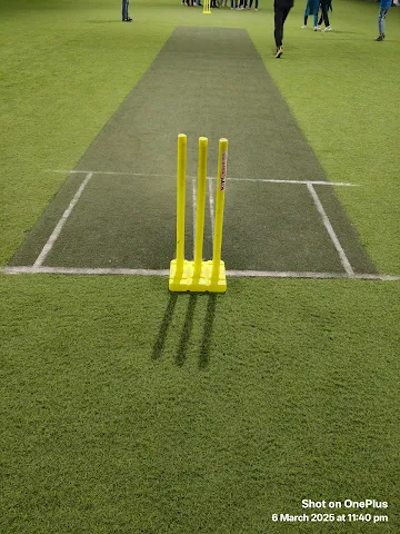 Turf photo 8