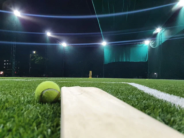 Turf photo 5