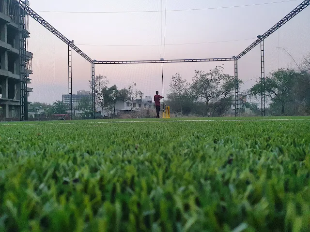 Turf photo 3