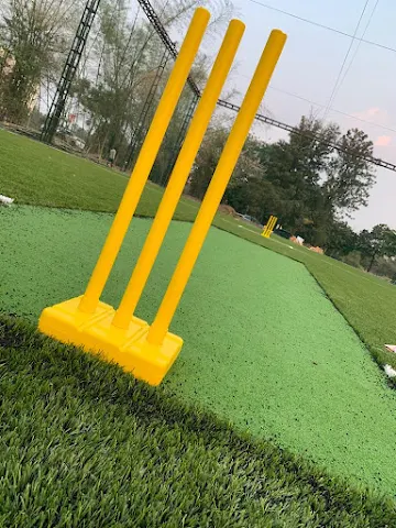 Turf photo 8