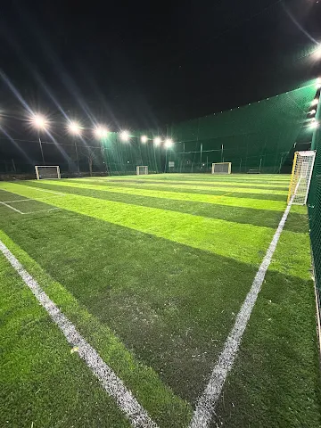 Turf photo 7