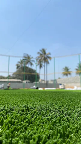 Turf photo 4