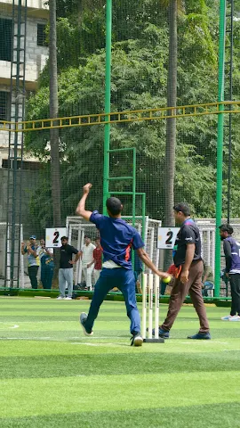 Turf photo 3