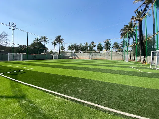 Oval Box Arena