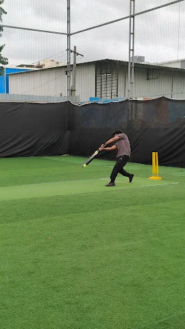 Turf photo 3