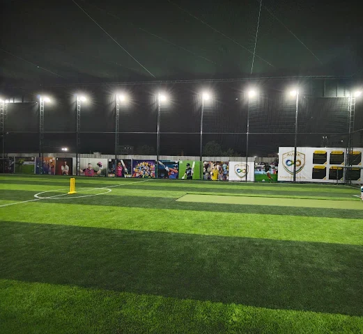 Turf photo 2