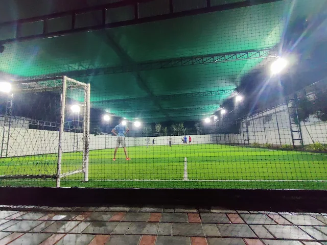Turf photo 2