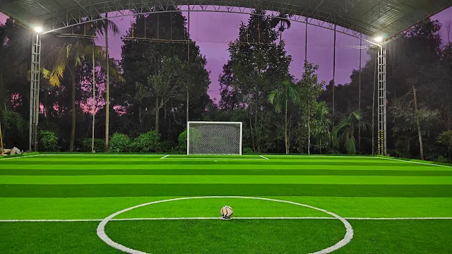 Turf photo 2