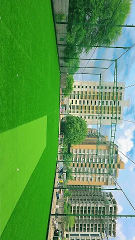 Turf photo 6