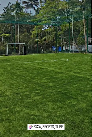 Turf photo 3