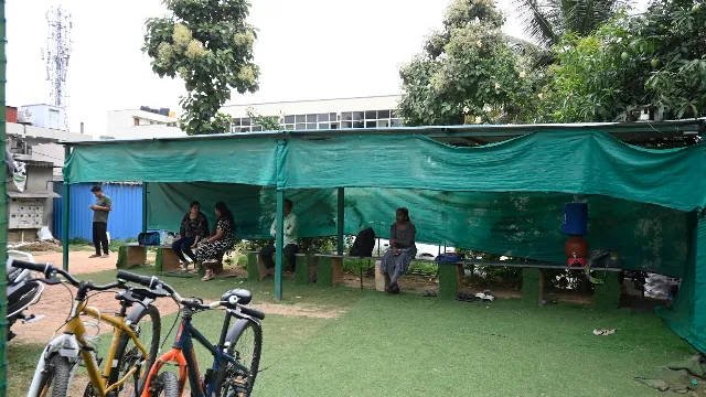 Turf photo 2