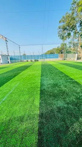 Turf photo 5