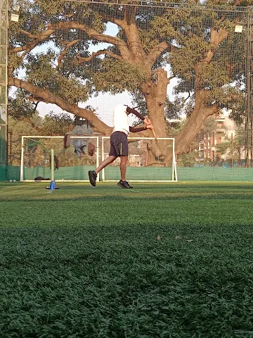 Turf photo 4