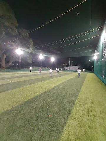 Turf photo 2