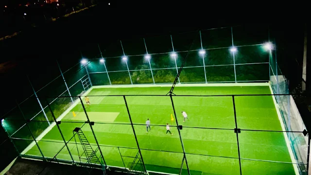 Turf photo 2