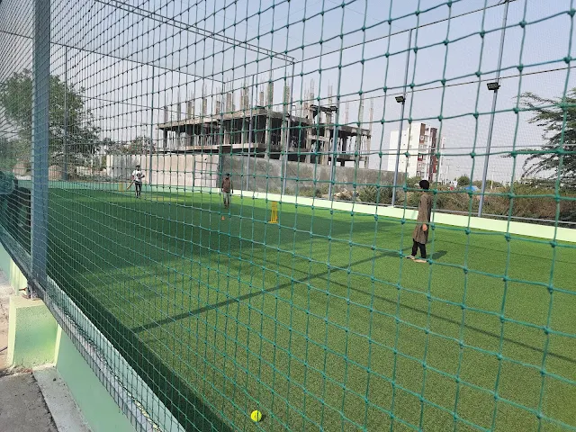 Turf photo 6
