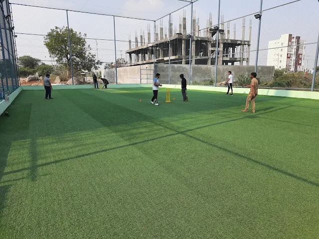 Turf photo 3