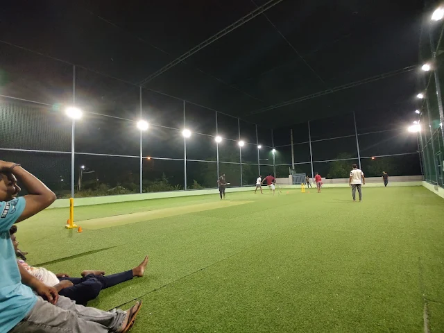 Turf photo 8