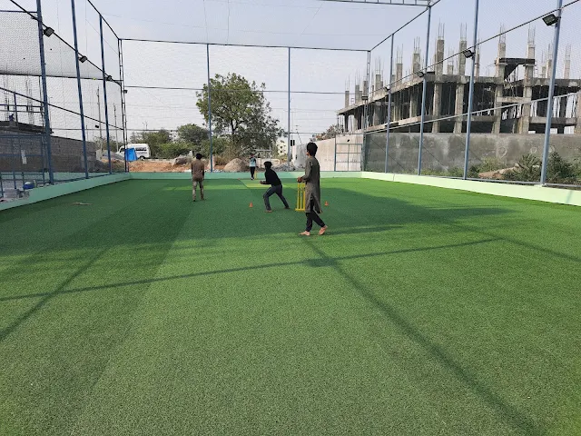 Turf photo 4
