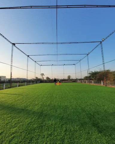 Turf photo 4