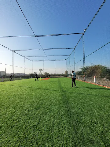 Turf photo 2