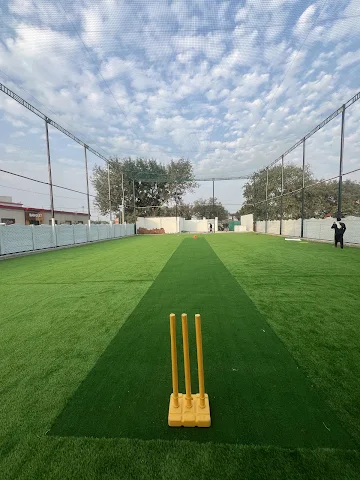 Turf photo 2