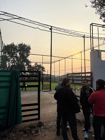 Turf photo 3