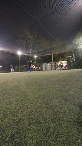 Turf photo 5