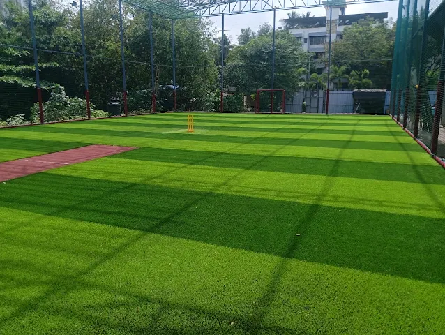Turf main photo