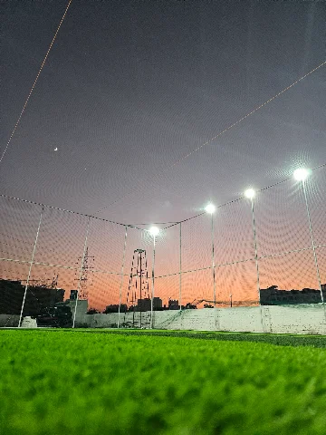 Turf photo 3