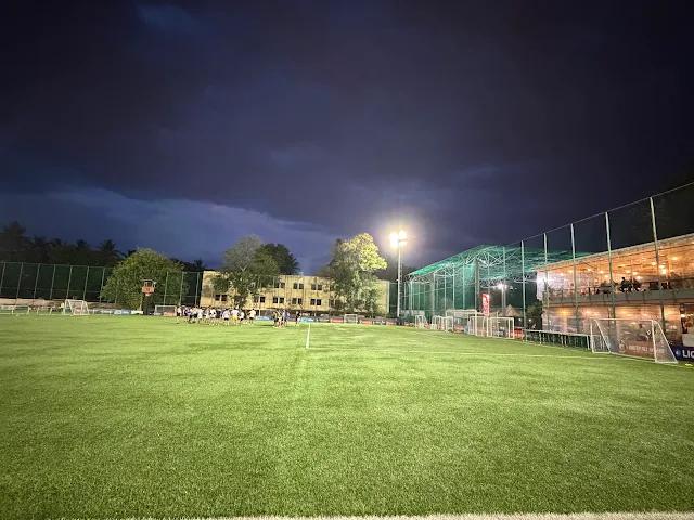 Turf photo 2