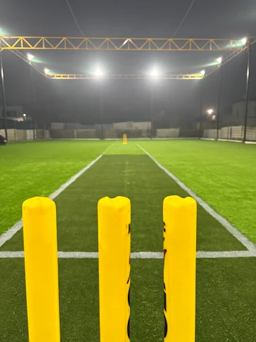 Turf photo 4