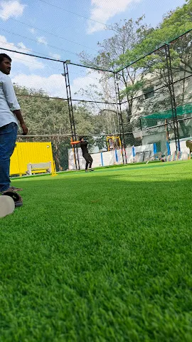 Turf photo 2