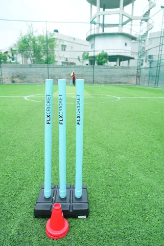 Turf main photo