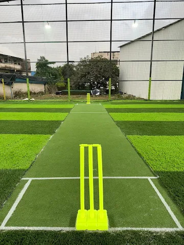 Turf photo 6
