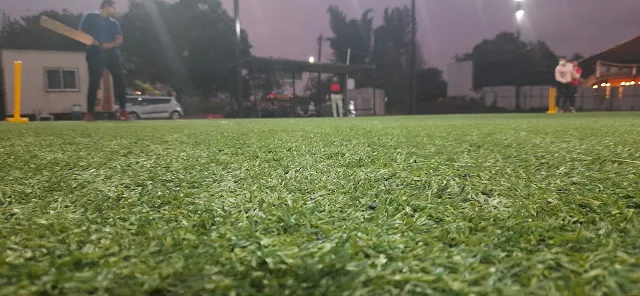 Turf photo 7
