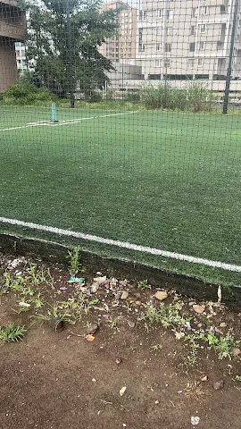 Turf photo 5