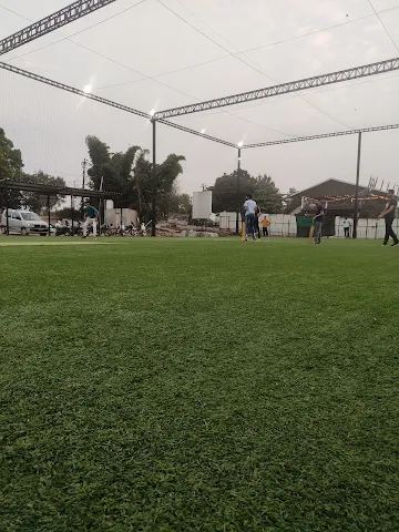 Turf photo 8