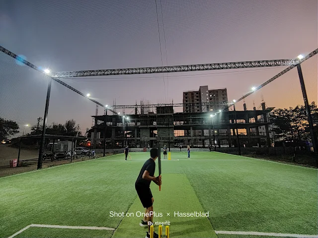 Turf photo 3