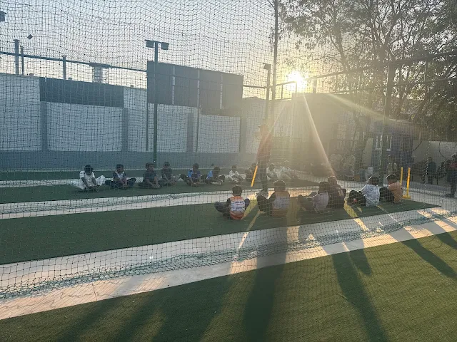 Turf photo 4