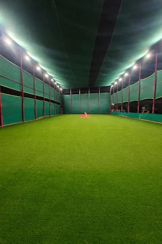 Turf photo 2