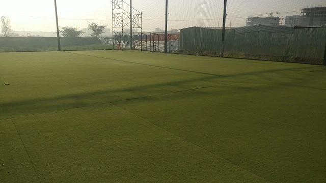 Turf photo 5
