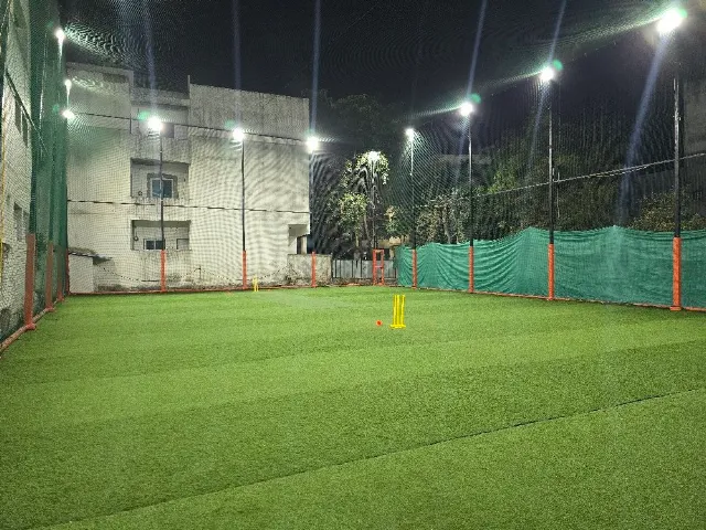 Turf photo 2