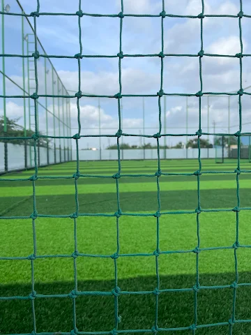 Turf photo 2