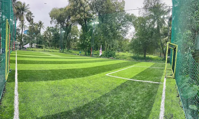 Turf photo 2