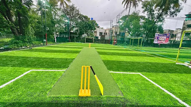 Turf main photo