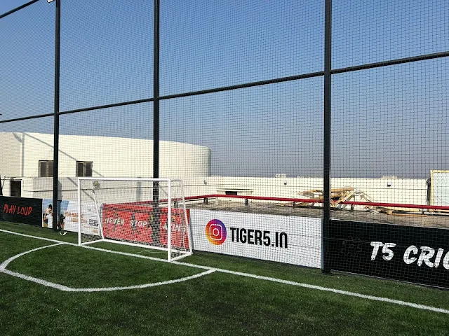 Turf photo 2