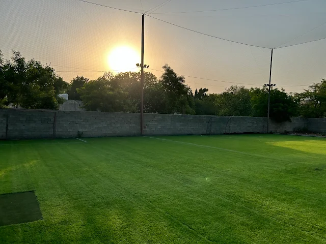 Turf photo 4