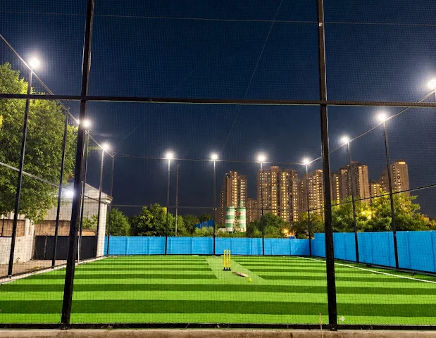 Turf photo 3