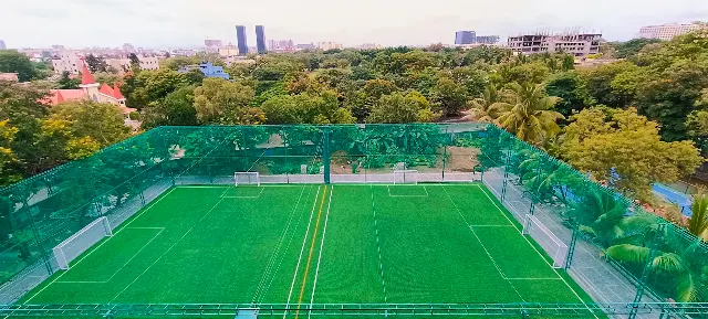 Turf main photo